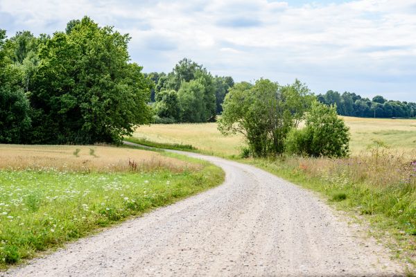 Cost of Stone Driveway Repair in Westminster