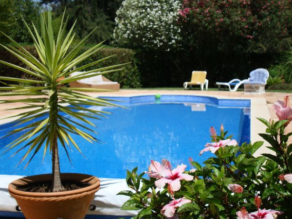 Cost of Pool Terrace Renovation in Westminster