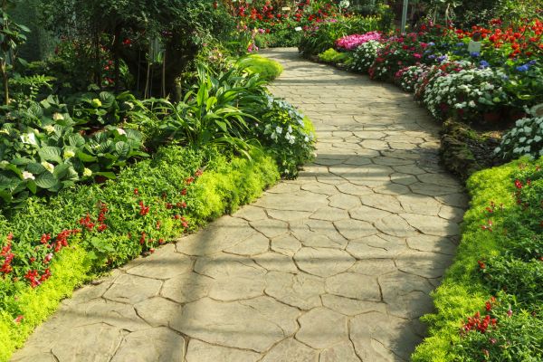 Cost of Stone Pathway Service in Westminster