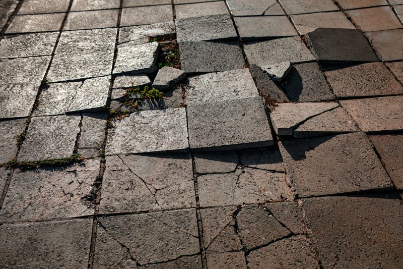 Driveway Pavers Repair detail