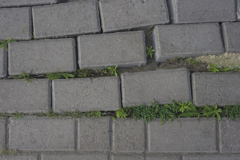 Paver Walkway Repair detail