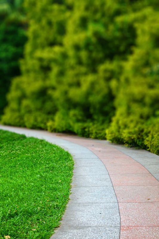 Paver Walkway Repair detail