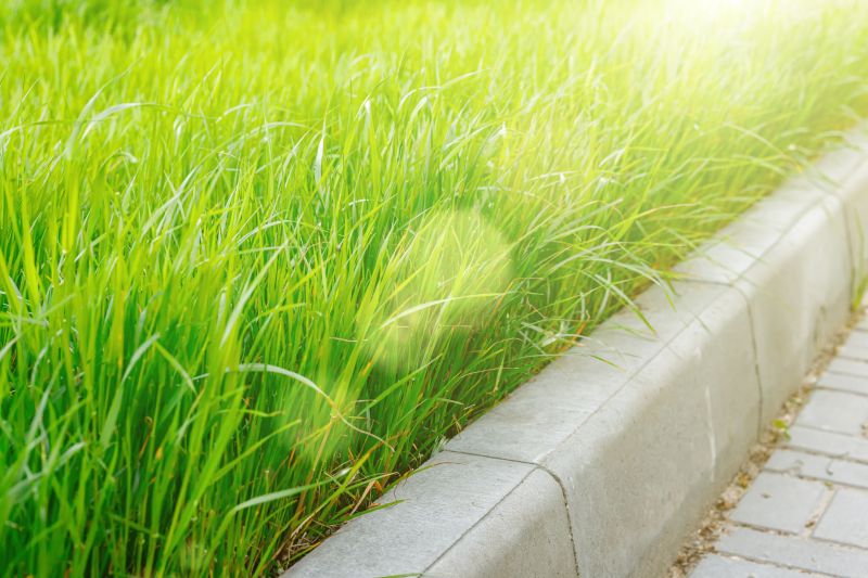 Hardscape Edging Service