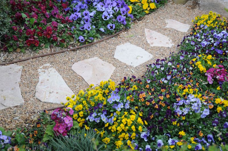 Limestone Pavers Installation