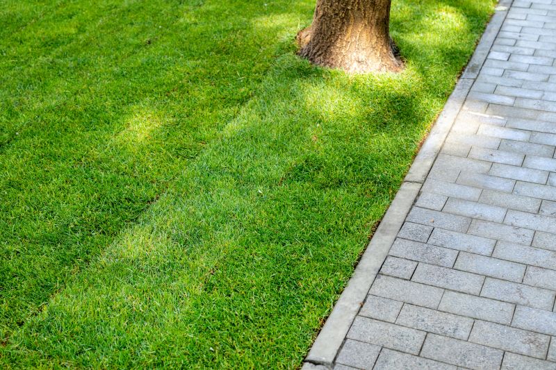 Pathway Pavers Installation