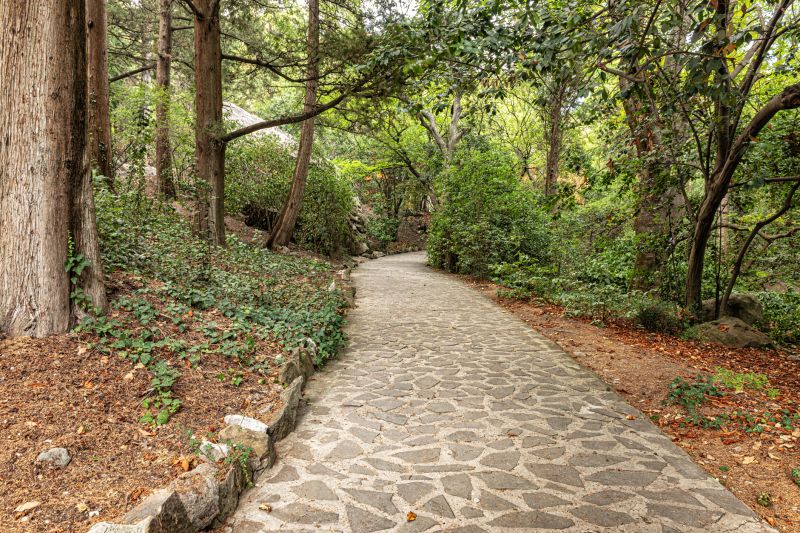Paver Pathway Installation