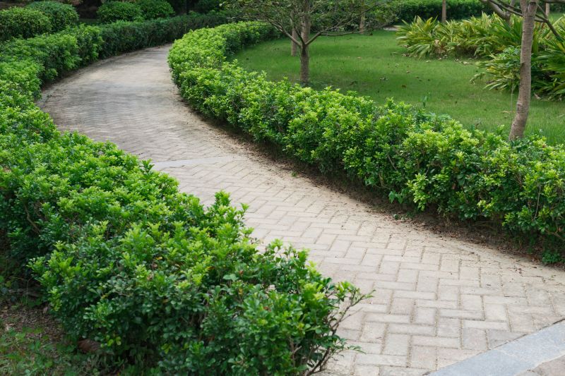 Paver Pathway Installation