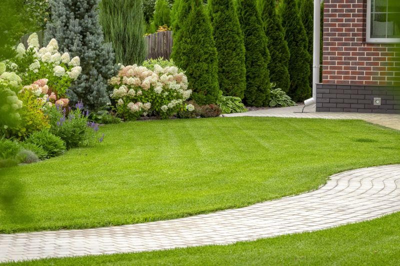 Decorative Paver Walkway