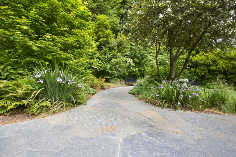 Landscape Paver Walkways